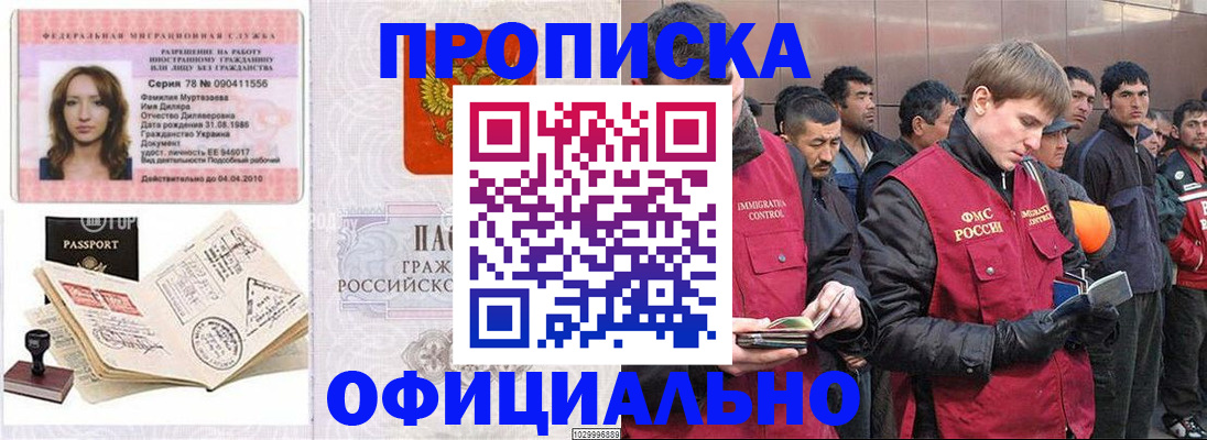 найти адрес прописки в Новодвинске